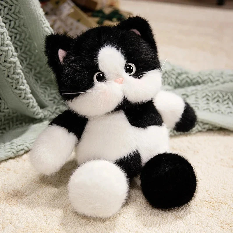Big-eyed Calico Siamese Cat Plush Friends - Image 5