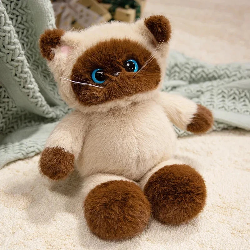 Big-eyed Calico Siamese Cat Plush Friends - Image 3