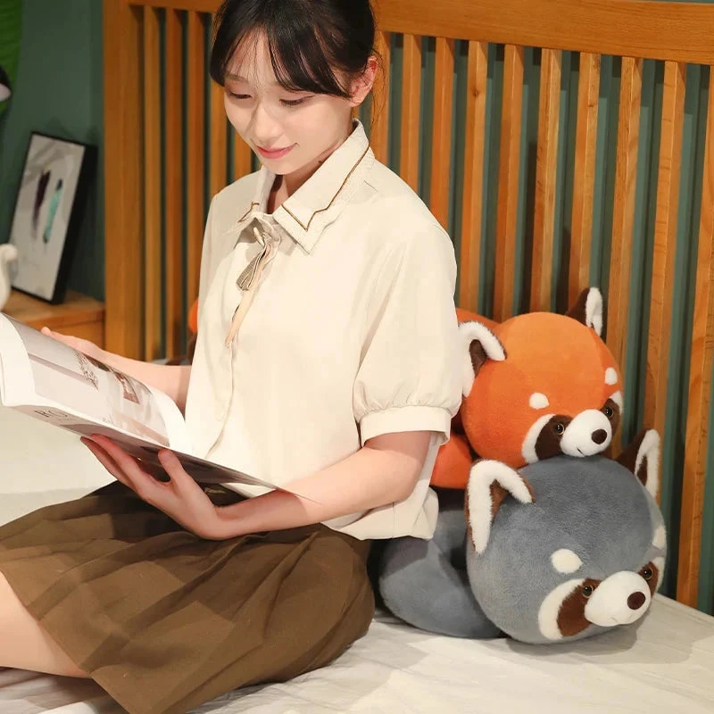 Bushy And Buster The Lying Raccoon Plushies - Image 14