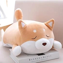 Chubby Shiba Inu - Image 8