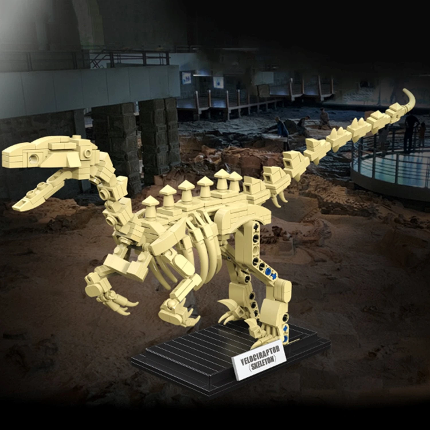 Dinosaur Fossil Skeletons Building Blocks Collection 2 | LIMITED STOCK - Image 10