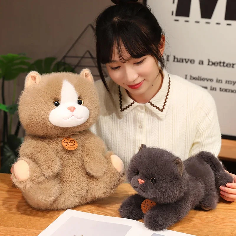 Fluffy Kitten Squad Plushies - Image 4