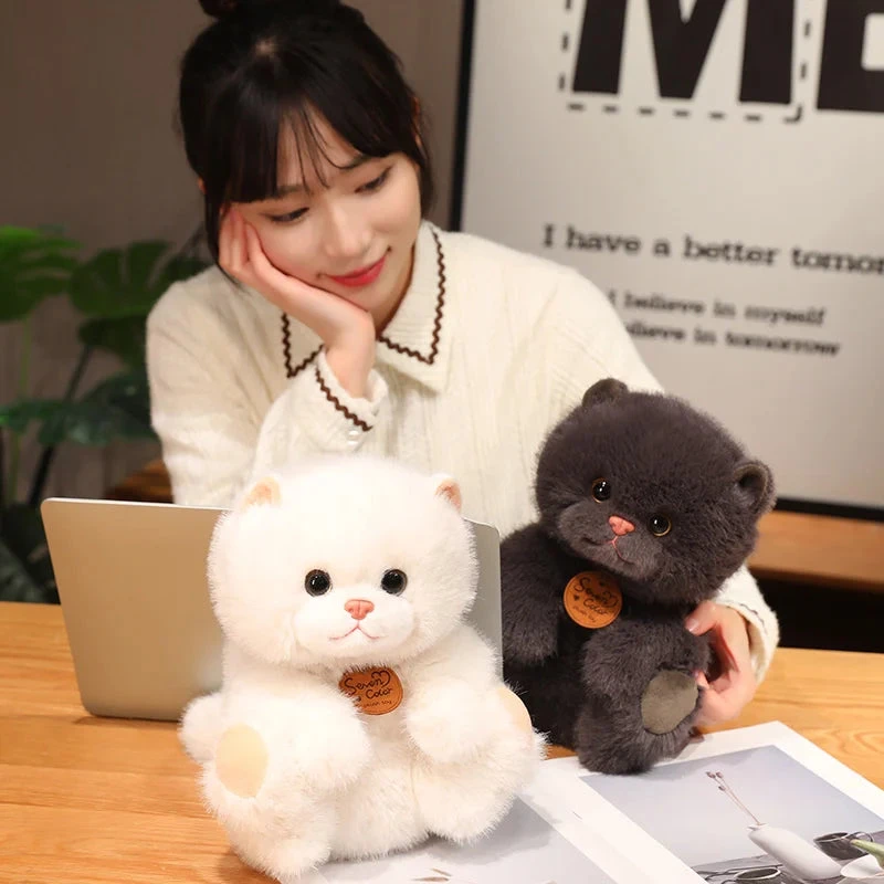 Fluffy Kitten Squad Plushies - Image 2