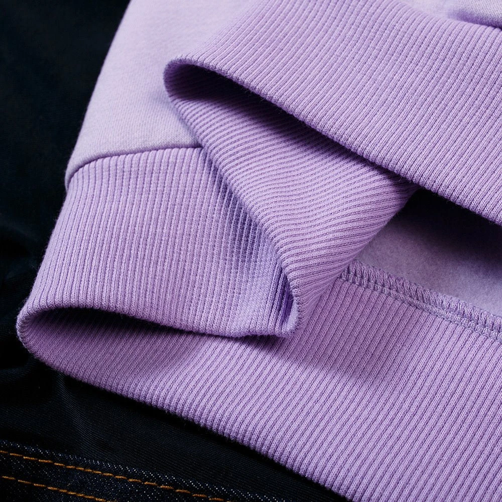 Apparel Harajuku Kawaii Cute Dipsy Dinosaur Hoodie - Image 13