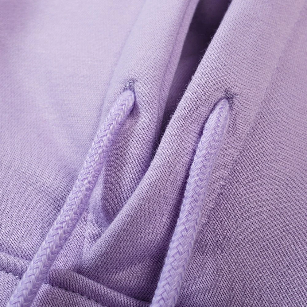 Apparel Harajuku Kawaii Cute Dipsy Dinosaur Hoodie - Image 14