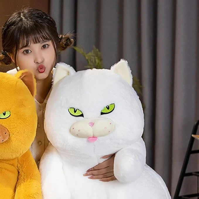 Poe The Grumpy Cat Plushie - Image 11